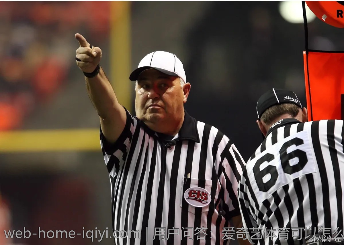 用户问答:爱奇艺体育可以怎么看WWE赛事?